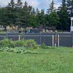 Garden Fence