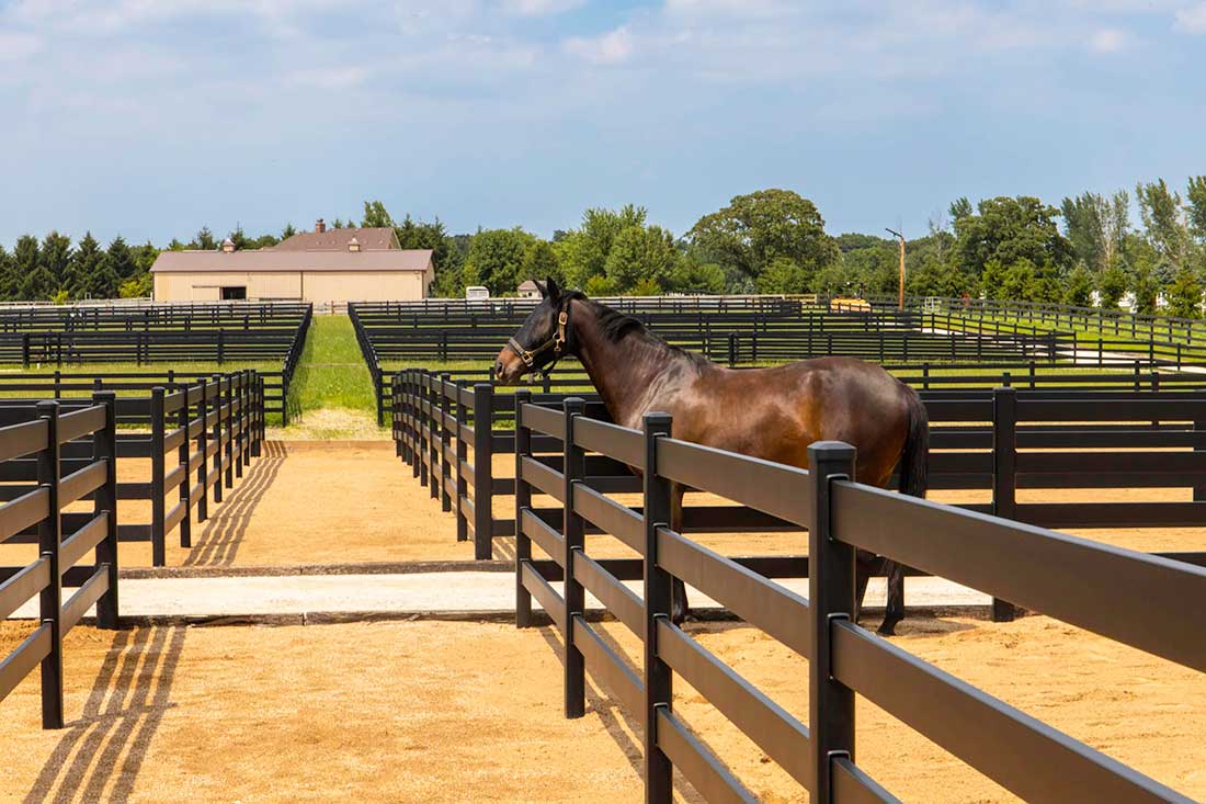 Aluminum-Horse-Fence-Installed-in-Barrie